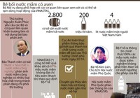 Infographic: Toàn cảnh vụ bê bối nước mắm có chứa asen