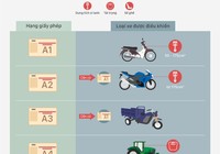 Infographic: Phân biệt 9 hạng giấy phép lái xe