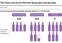 Tiêu dùng rượu bia tại Việt Nam ngày càng gia tăng