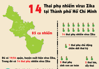 Infographic: 14 thai phụ nhiễm virus Zika tại TP.HCM