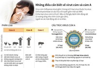 Những điều cần biết về virus cúm và cúm A