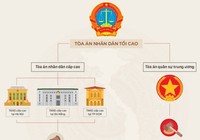 Tòa án Việt Nam được tổ chức thế nào?