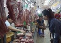 Cụm từ 'giải cứu heo' trở nên...nổi tiếng