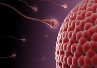 Kem cạo râu cũng có thể làm hại tinh trùng?