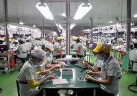 Người lao động sẽ được nhận BHXH một lần?