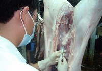 Heo âm tính với chất tạo nạc, vẫn chưa chắc ăn