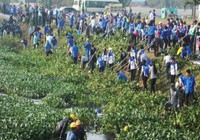 550 sinh viên, thanh niên khơi thông rạch Cầu Suối
