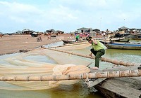 Đánh bắt kiểu tận diệt trên hồ Trị An