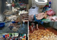 Nan giải bài toán ‘Ăn gì cũng chết’