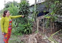 Tòa đã chia ranh đất, xã đòi xác minh lại!
