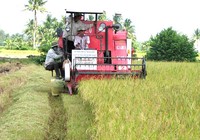 ‘Hội nghị Diên Hồng’ cho đồng bằng sông Cửu Long