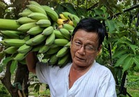 Hành trang quê nhà của Võ Đắc Danh