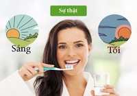 10 quan niệm lỗi thời khi chăm sóc răng miệng