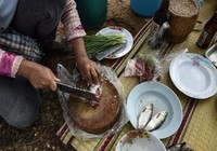 20.000 người Thái chết mỗi năm vì ăn gỏi cá sống
