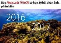 Pháp Luật TP.HCM liên tục phản biện dự án nhận chìm
