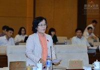 ĐBQH Trần Thị Quốc Khánh trình dự luật Hành chính công