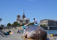 'Cá voi' bất ngờ mắc cạn giữa thủ đô Paris