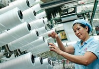 Kêu trời vì vải siêu rẻ chỉ 6.000 đồng/mét