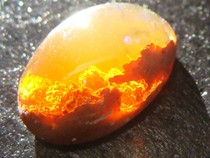 Chiêm ngưỡng vẻ đẹp kỳ lạ hiếm có của những viên đá quý