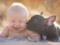Cực kỳ dễ thương bộ ảnh chú bé và 'anh' cún của mình