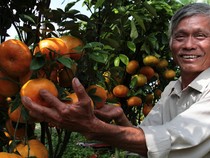 Sản phẩm độc đáo của 'lão nông triệu phú'