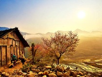 Hình ảnh Việt Nam đẹp lộng lẫy đến khó tin