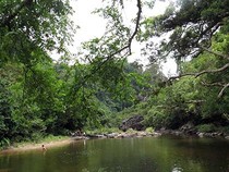 Bên trong vườn thượng uyển khổng lồ