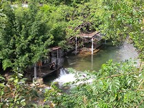 Trang trại trái phép ‘ẩn’ sau biệt phủ đại gia vàng