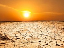 Giá nhiều mặt hàng tăng vọt vì hạn hán