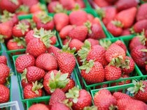 Mẹo bảo quản thực phẩm không cần tủ lạnh