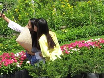 Về làng hoa Sa Đéc chụp ảnh 'tự sướng'