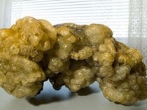 Kỳ bí 'báu vật' long diên hương