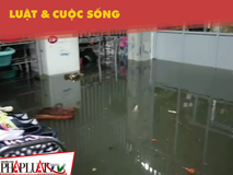 Ở nơi cư dân thành phố 10 năm sống...