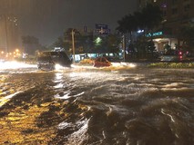 Sở Khoa học nói về ứng dụng công nghệ chống...