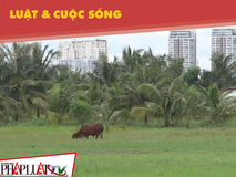 Dân Thanh Đa muốn sớm thực hiện dự án...