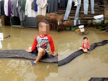 Cậu bé 3 tuổi cưỡi trăn gây sốt báo...