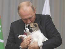Ông Putin được tặng chó cưng nhân dịp sinh...