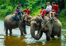 Chấm dứt du lịch cưỡi voi ở Yok Đôn
