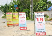 Nhiều người khóc hận vì ôm đất nền ngoại thành TP.HCM
