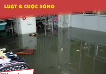 Ở nơi cư dân thành phố 10 năm sống trong cảnh ngập lụt