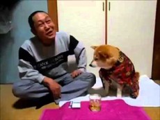 Cún ngăn chủ không được uống rượu