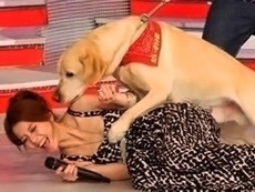 Những tai nạn nghề nghiệp buồn cười chưa từng có