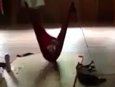 Mẹ vắng nhà, mèo ở nhà ru em bé ngủ