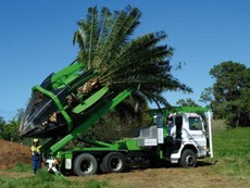 Trố mắt với kỹ thuật trồng cây ở Úc