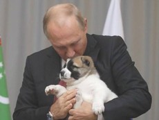 Ông Putin được tặng chó cưng nhân dịp sinh nhật