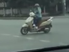 'Ninja Lead' vô tư dừng xe ngay giao lộ nghe điện thoại