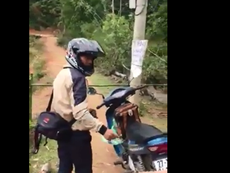 Xem hoa Anh đào phải qua 'trạm thu phí' bờ ao