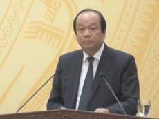 Họp báo Chính phủ: Bức xúc nạn bạo hành trẻ em