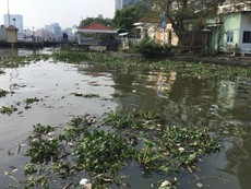 Sông Sài Gòn ngập tràn rác thải