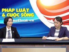 Trách nhiệm bồi thường của người gây tai nạn giao thông